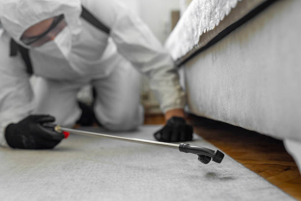 Professional Emergency Pest Control technician working in South Vacherie, LA