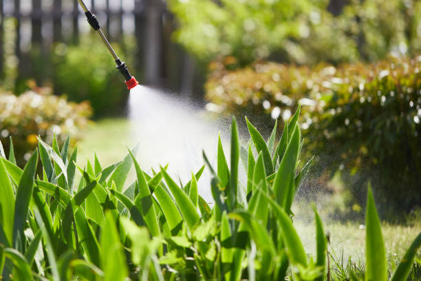 24/7 Emergency Emergency Pest Control experts in South Vacherie, LA