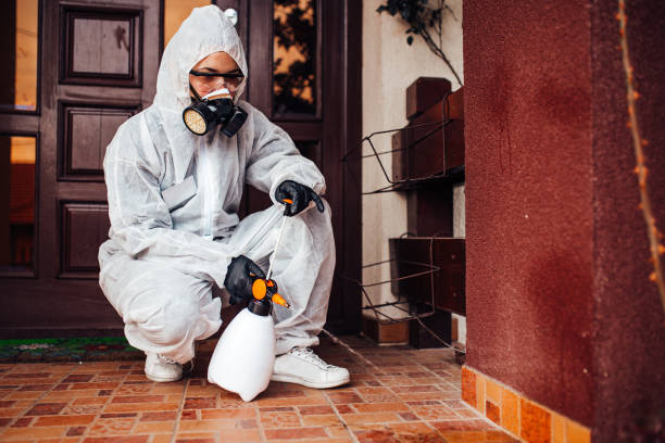 Reliable Emergency Pest Control contractor in South Vacherie, LA by Nex Pest Control