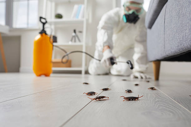 Trusted Termite Control service in South Vacherie, LA - Nex Pest Control