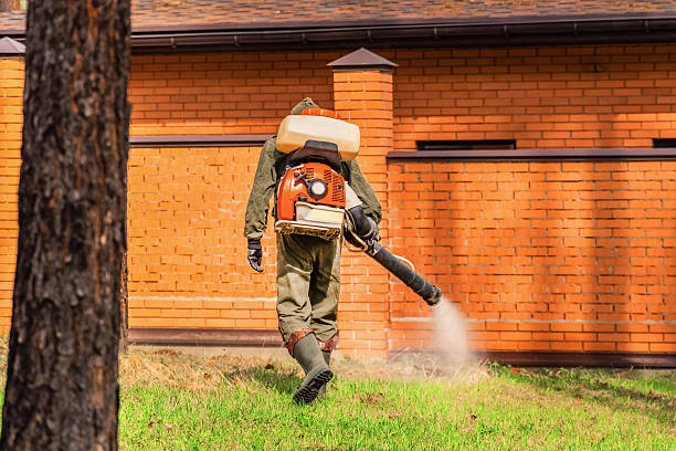 Trusted Rodent Control service in South Vacherie, LA - Nex Pest Control